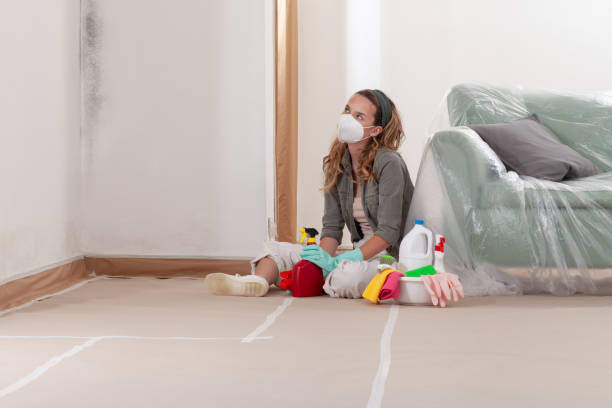 Reliable Black Mold Removal contractor in Hunt Valley, MD by WQB Mold Removal
